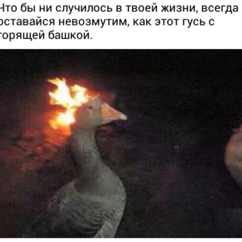 Где найти силы, чтобы не бросить подготовку к ЕГЭ