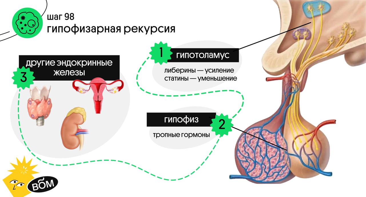 Саша Харитонованың интимдік суреті