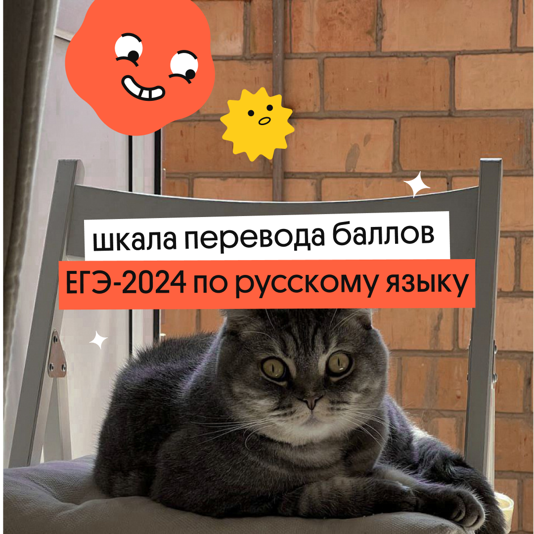 Шкала переводов баллов на ЕГЭ 2024 по русскому языку: первичные во ...